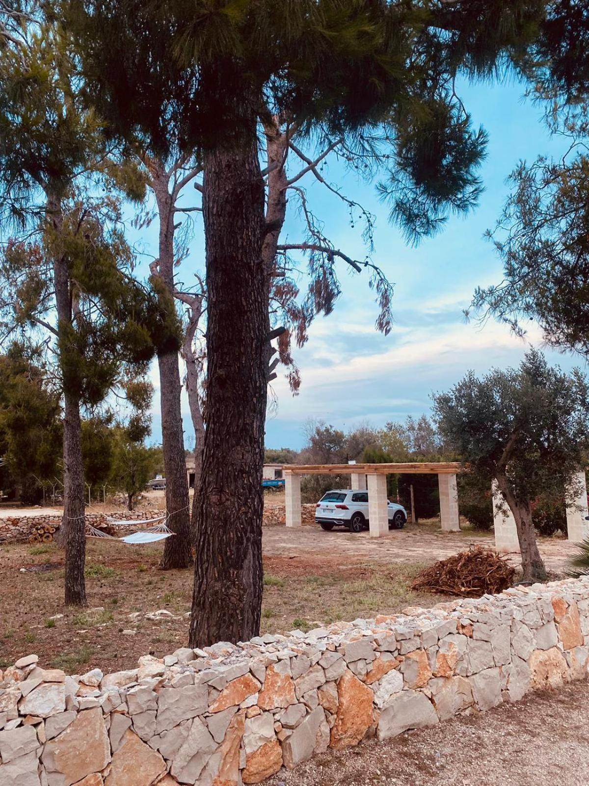 B&B Quasimare Porto Cesareo Eksteriør bilde
