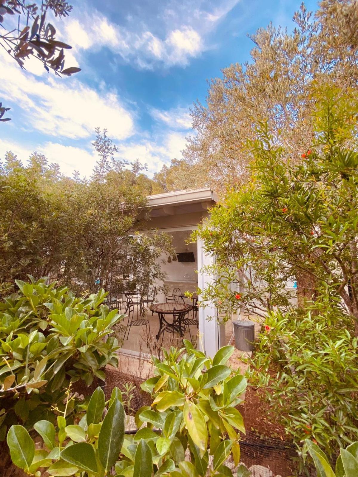 B&B Quasimare Porto Cesareo Eksteriør bilde