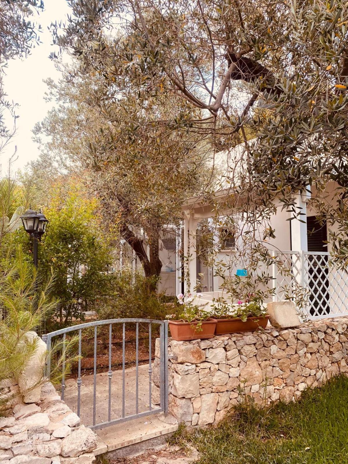 B&B Quasimare Porto Cesareo Eksteriør bilde