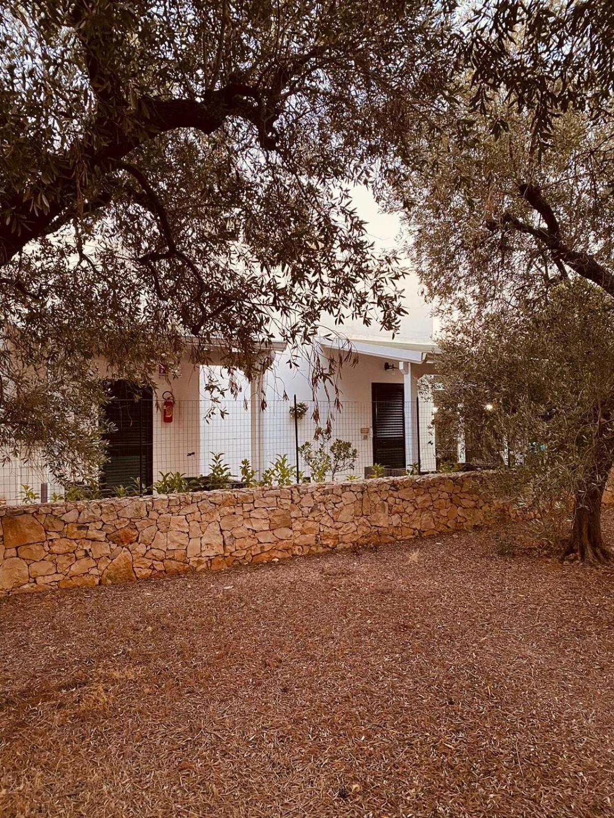 B&B Quasimare Porto Cesareo Eksteriør bilde